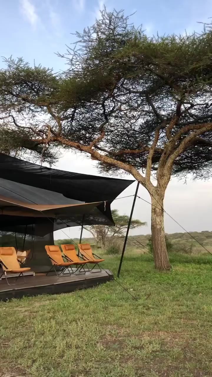 @David_Nature_Africa