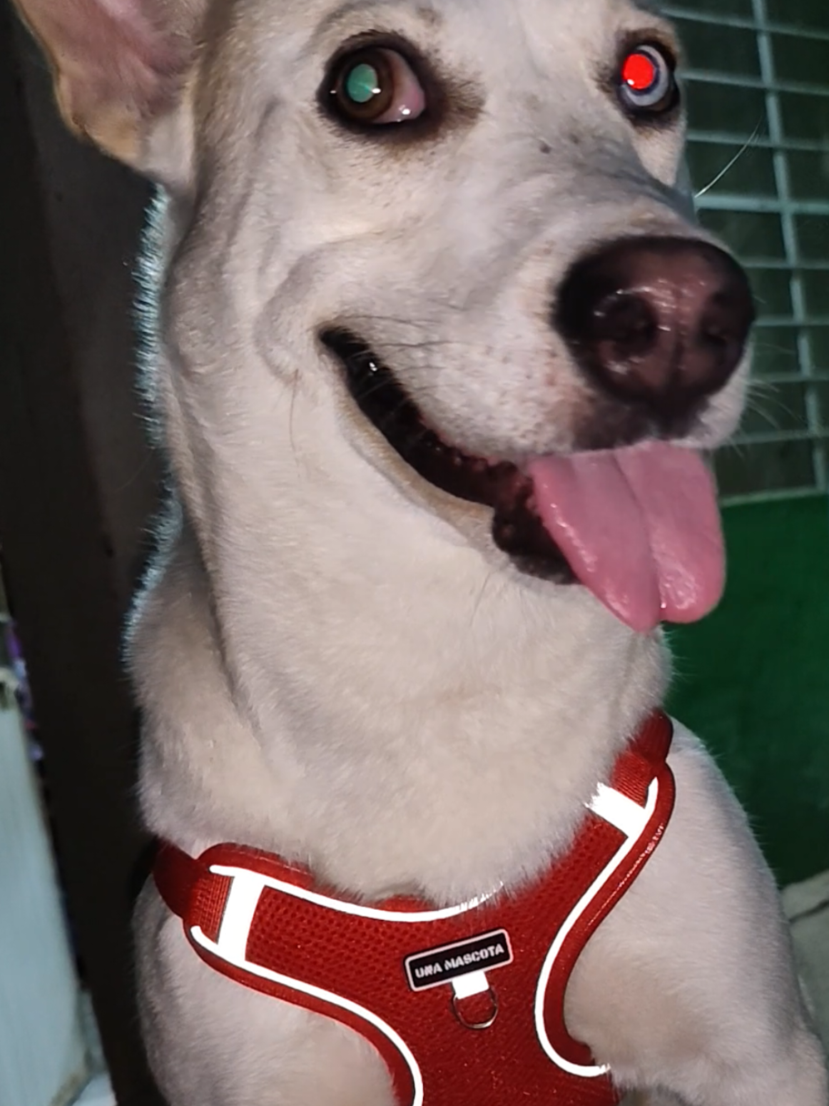@𝓑𝓻𝓮𝓷𝓭𝓪 𝓖𝓪𝓻𝓬𝓲𝓪