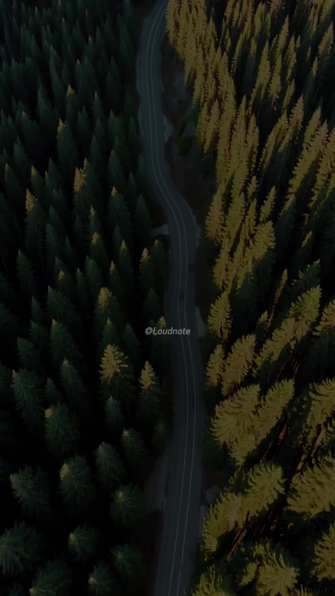 @LoudNotes