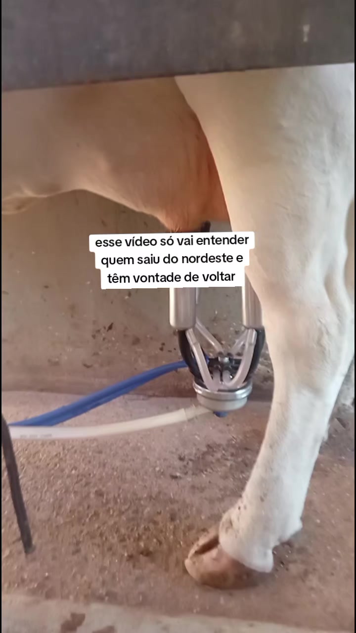 @jocriador