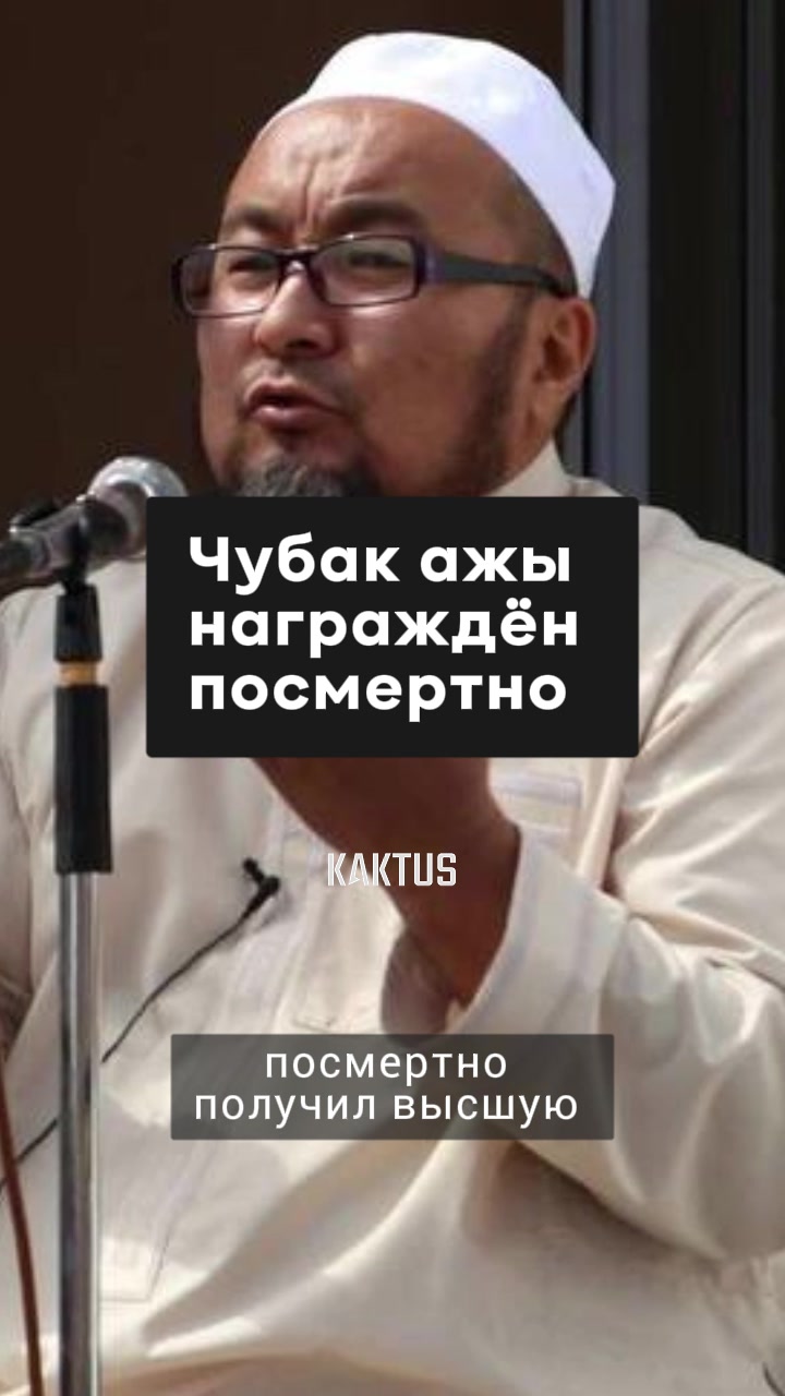@Kaktus.media