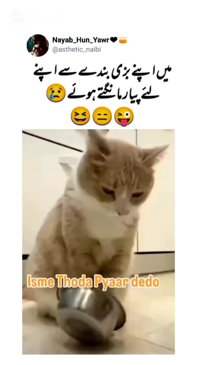 @Nayab_Hun_Yawr🖤👑