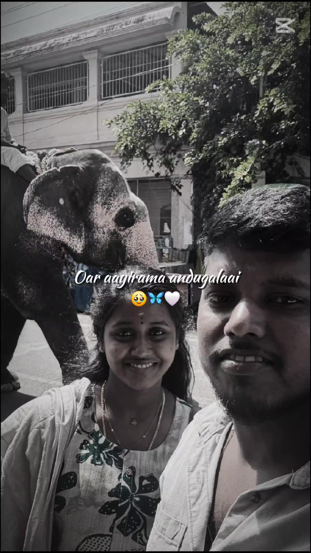 @Chandra Theepi