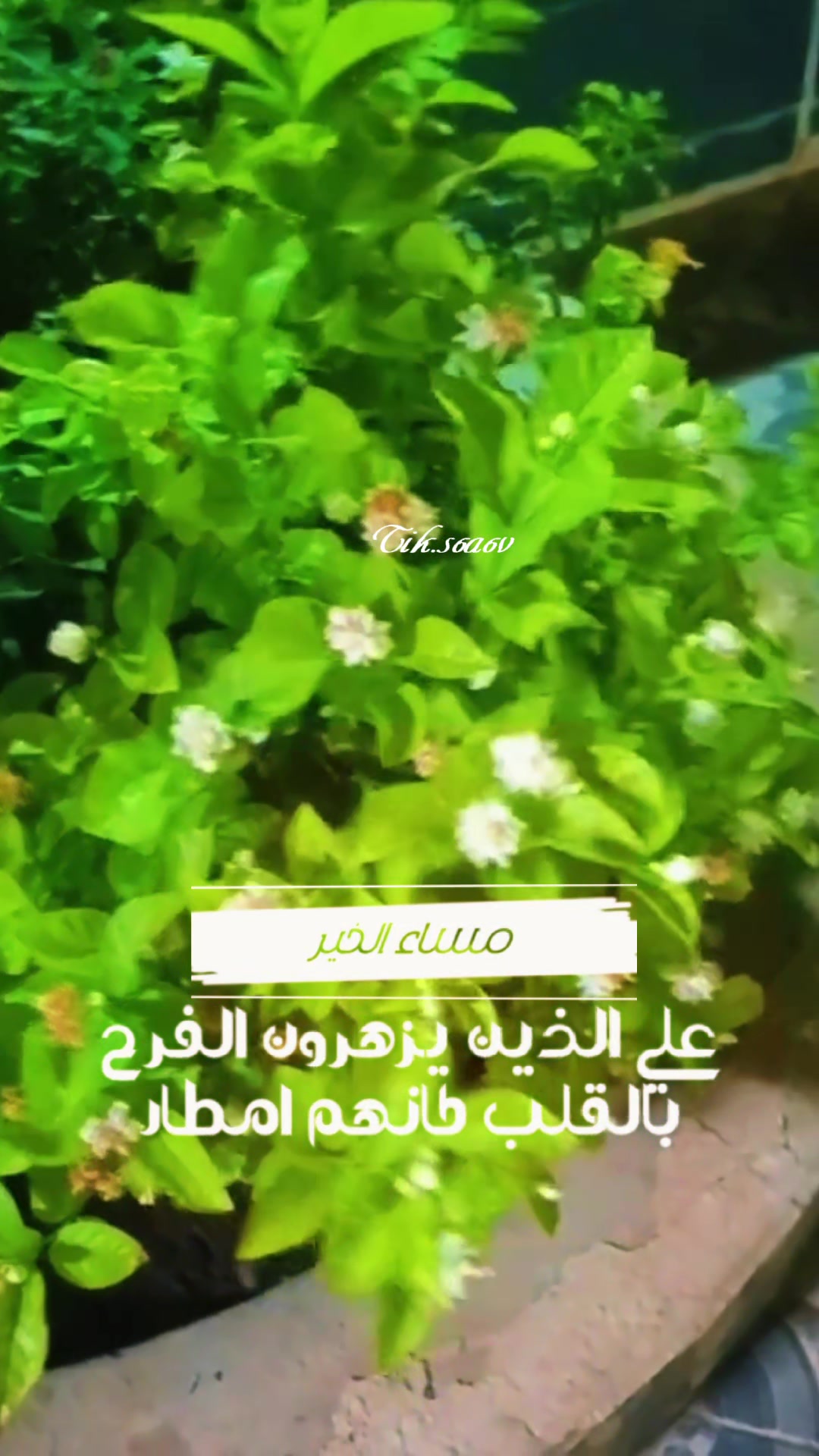 @عبدالله نجم سهيل