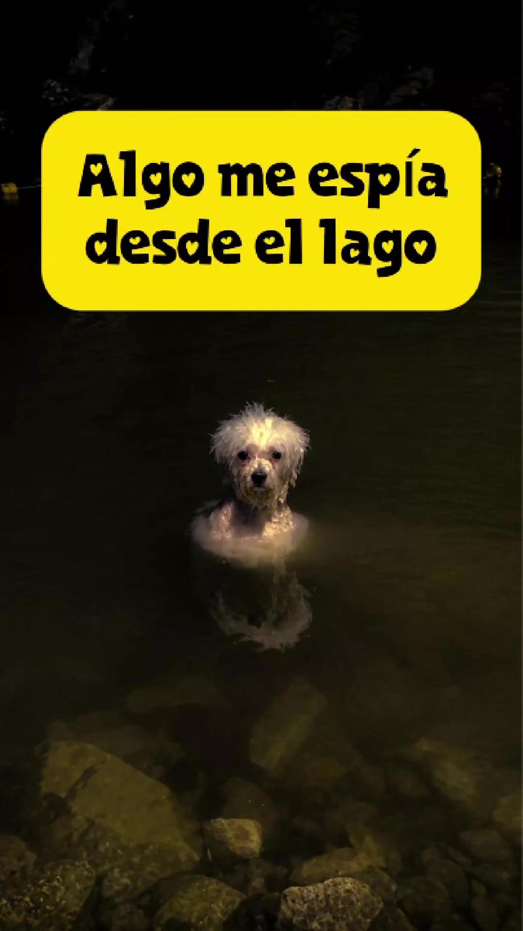 @Ay nanita!