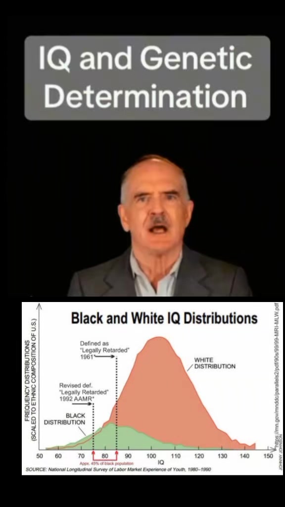 @RaceRealism