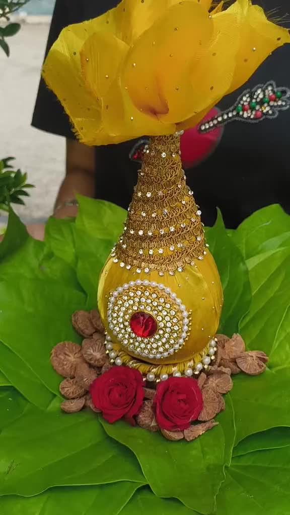 @Zees Rajasthani