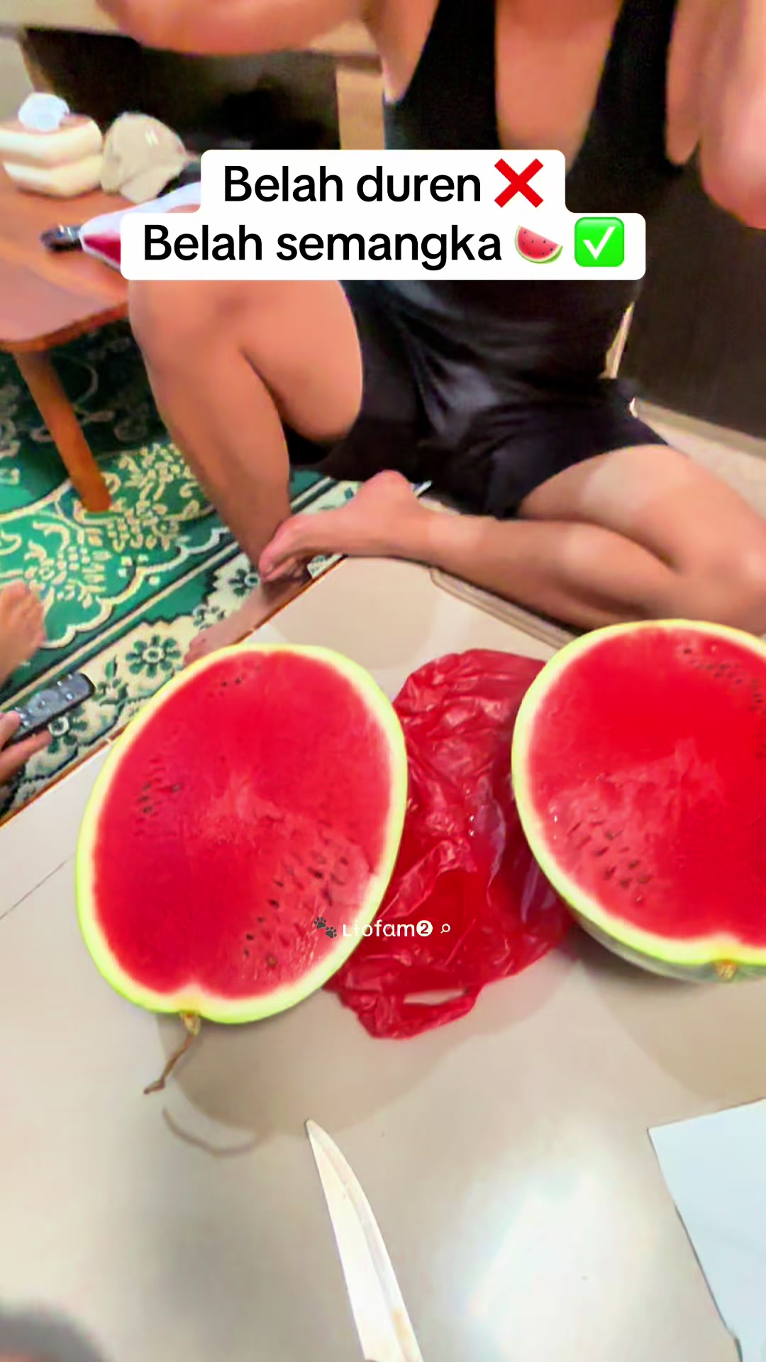 @ʟɨօfαm➋ ⌕ 🐾