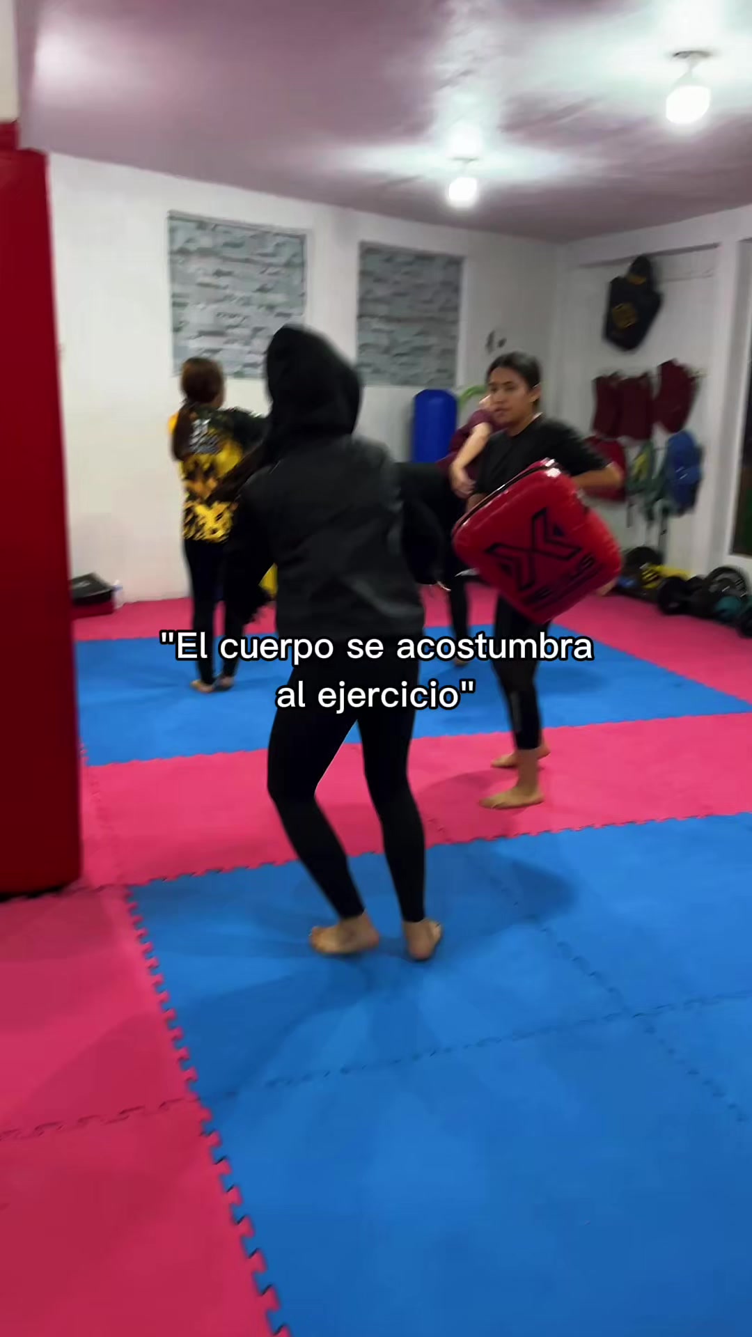 @taekwondolionsteam