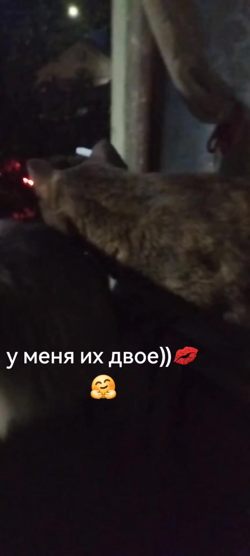 @((АНЮТА71))ТУЛА