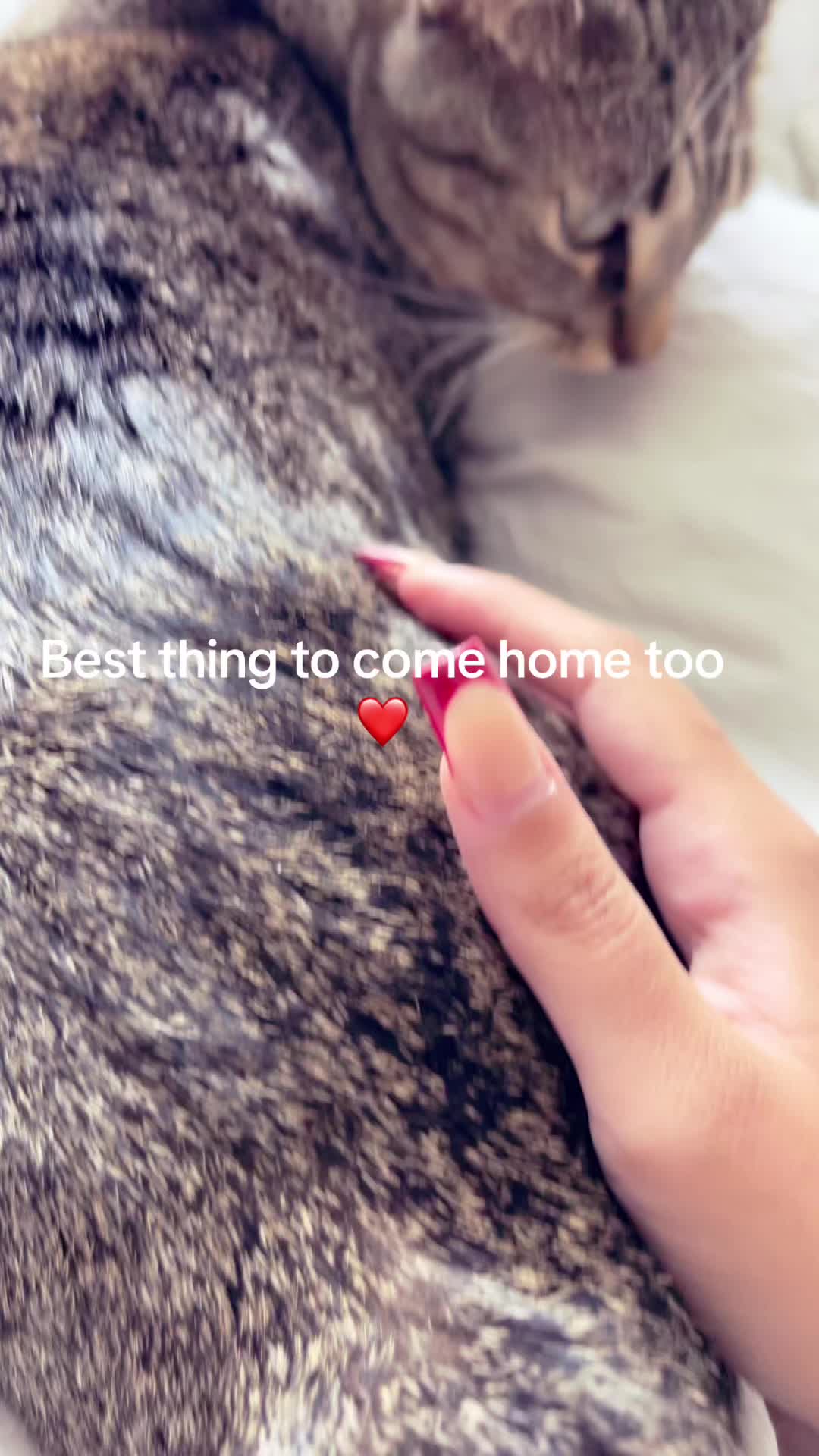 @celine.flo6