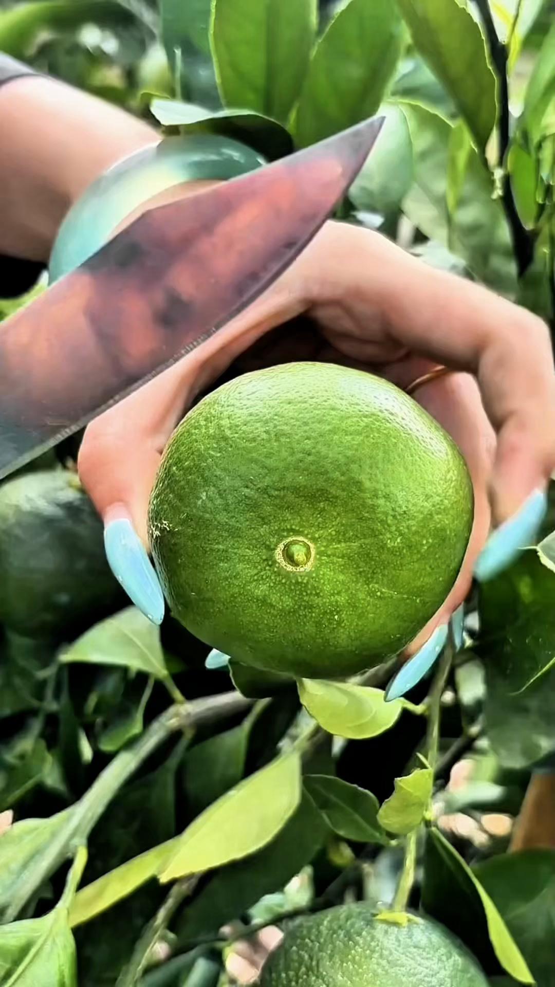 @asil❤️ kırali&ccedil;e❤️