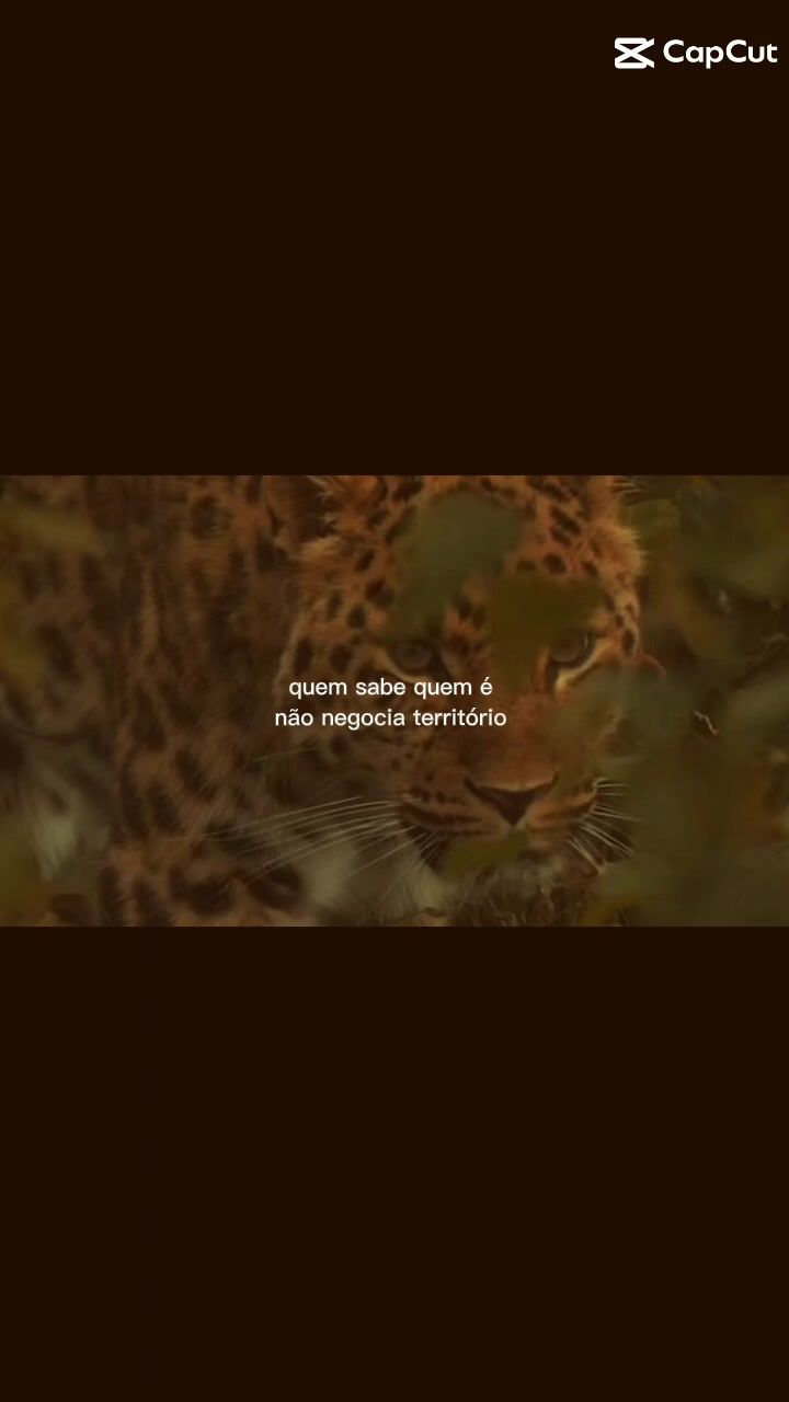 @MARIA ANGELICA