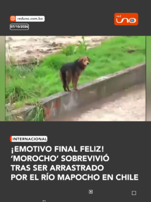 @RED UNO DE BOLIVIA