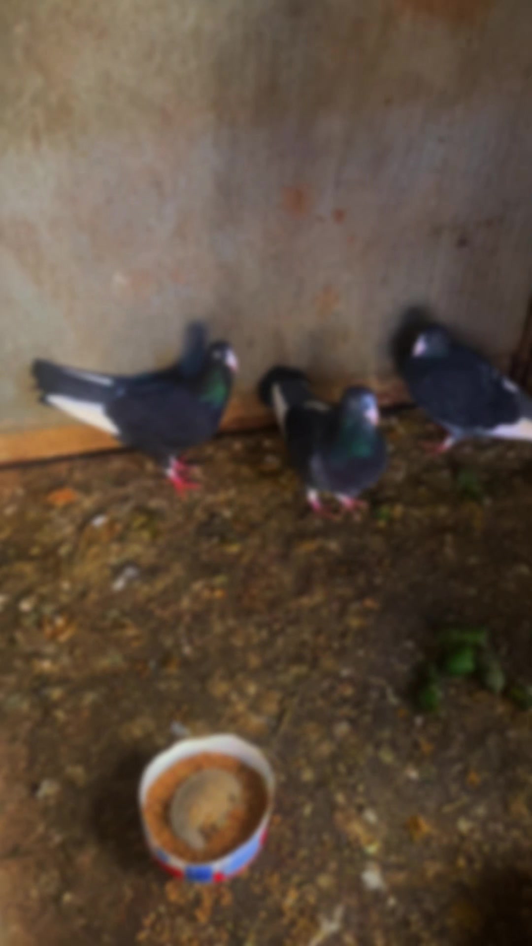 @OğuzhanAkk007