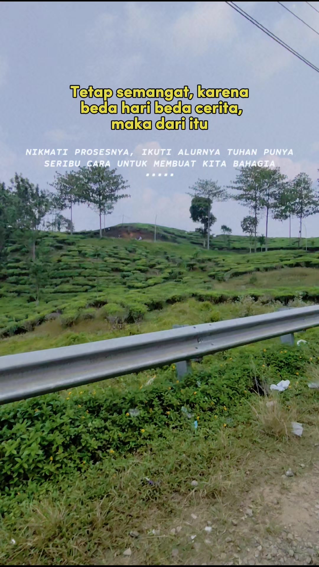 @Bunga Tanpa Tangkai