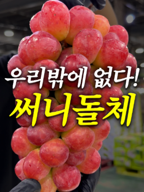 @해운대송사장