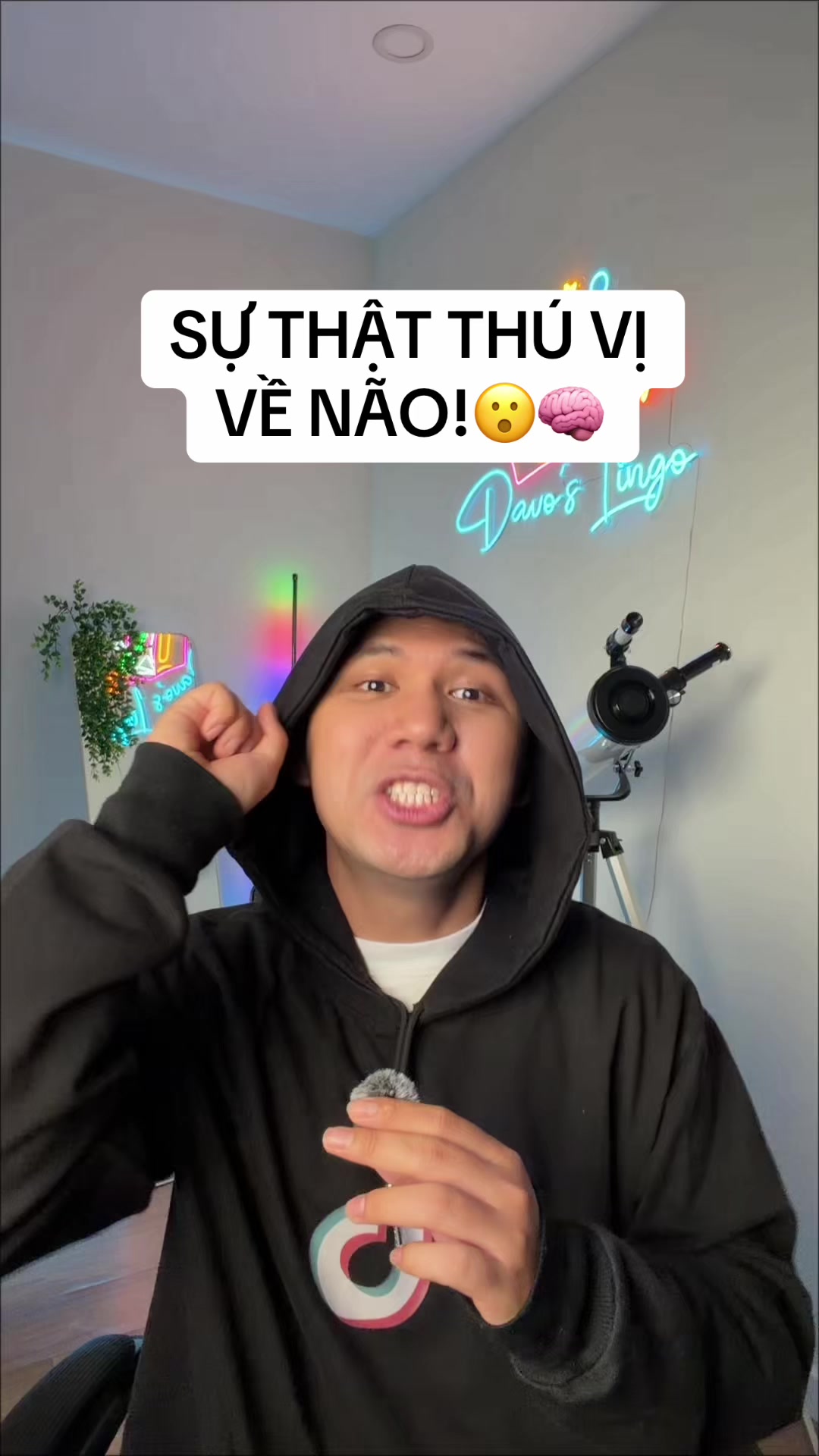 @Davo&rsquo;s Lingo