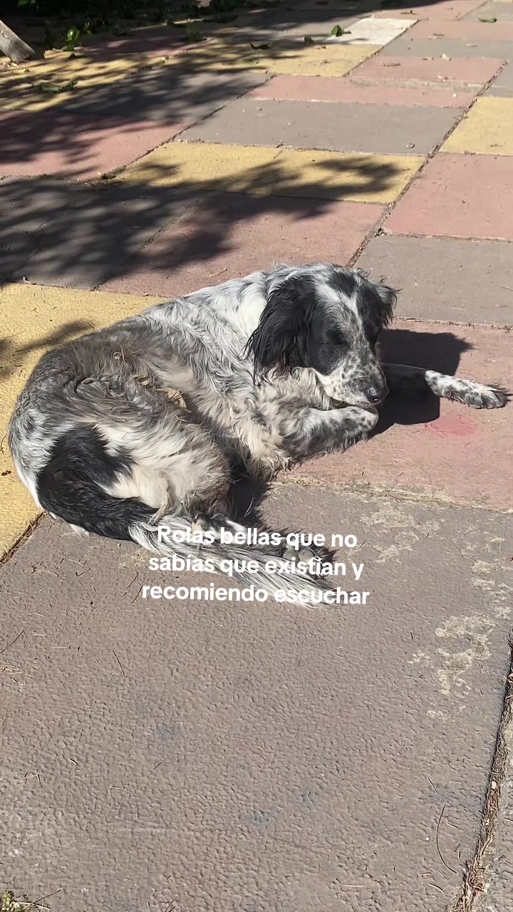 @canciónes que no conocias