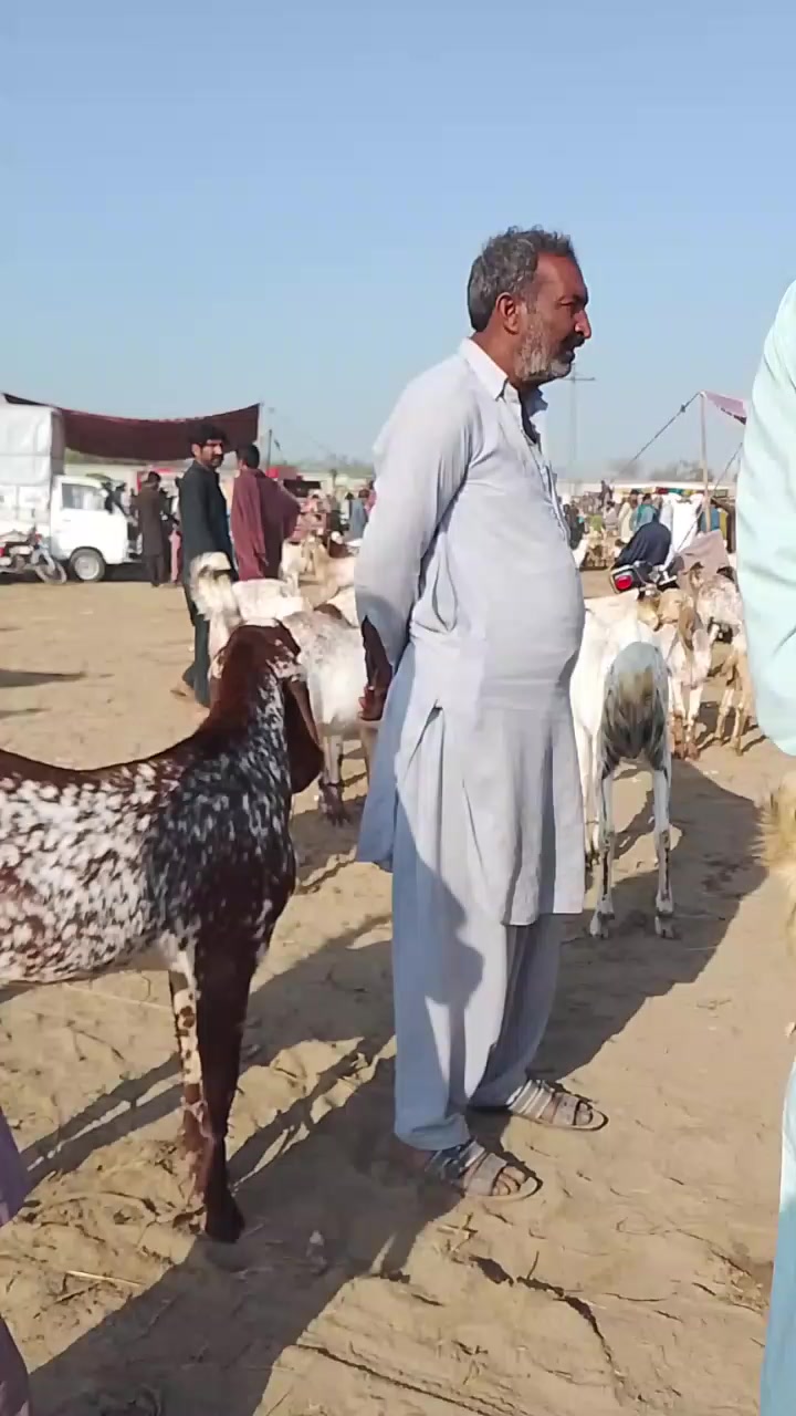 @Asif Ali Joyia Khan 786