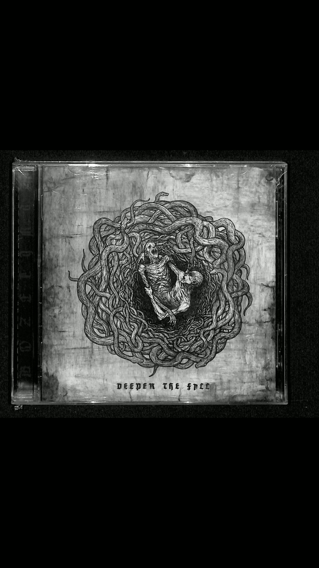 @Musicalobestia