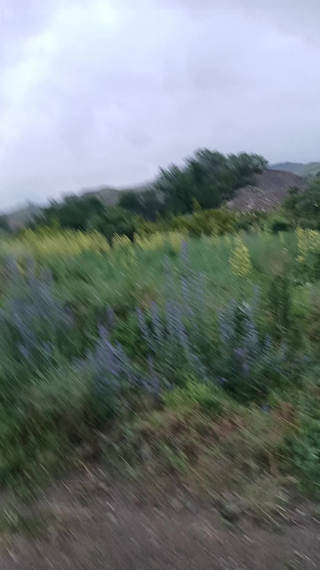 @ismayılov 18.32