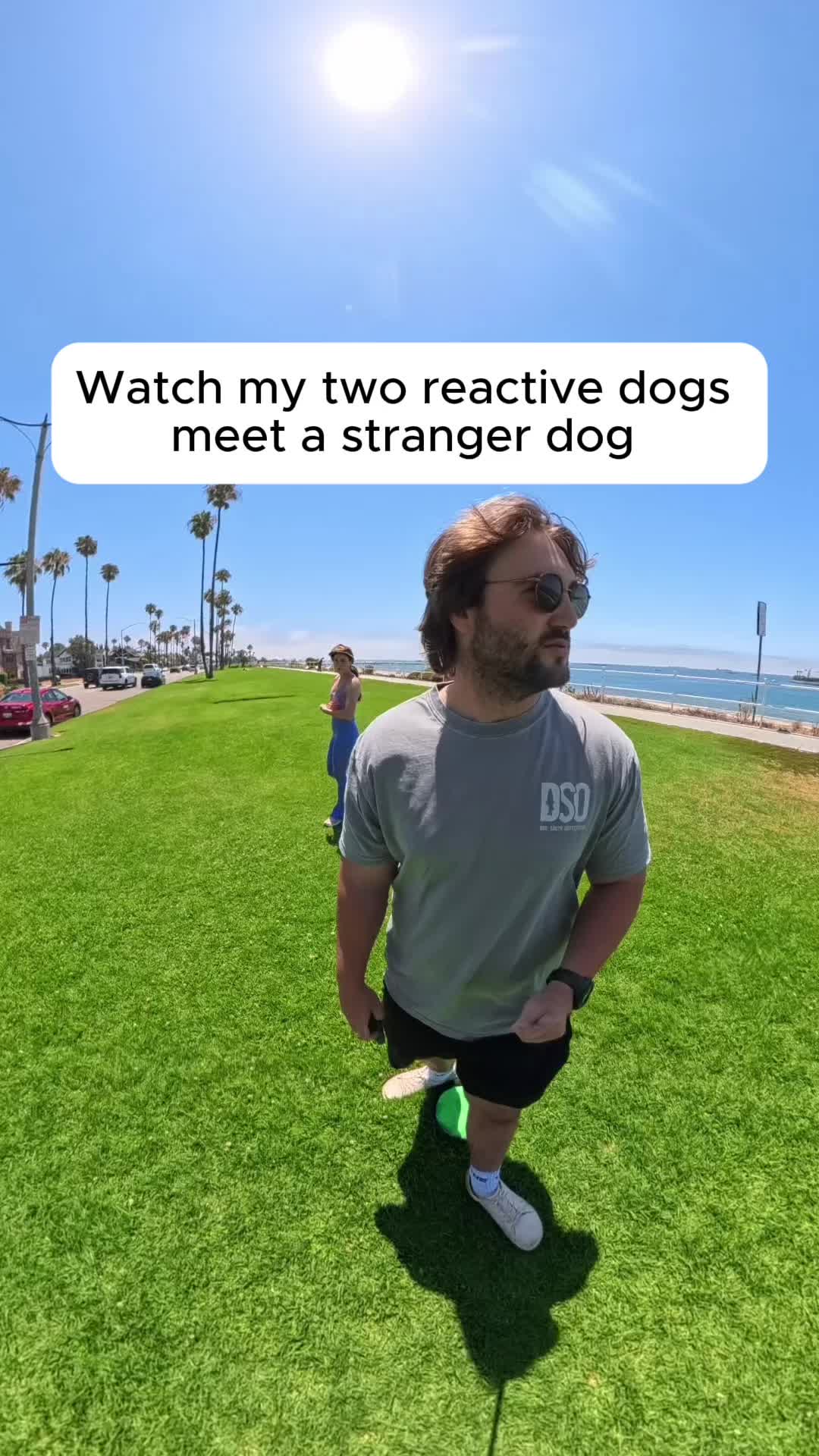 @forthedogs
