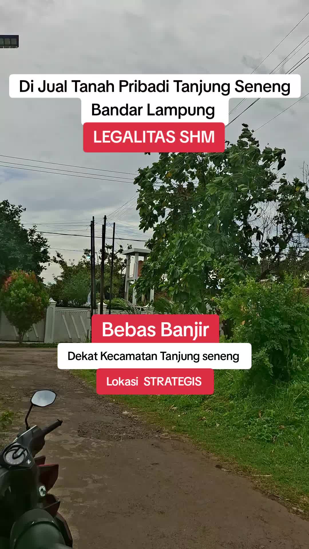 @Tanah pribadi Lampung