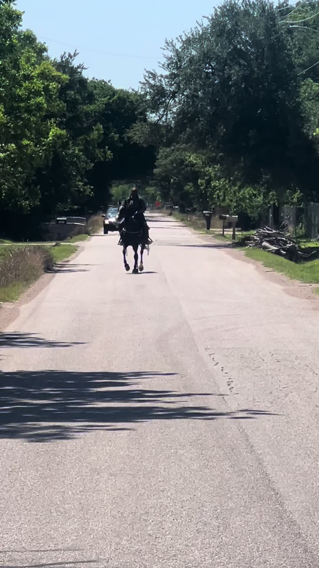 @RoVibes