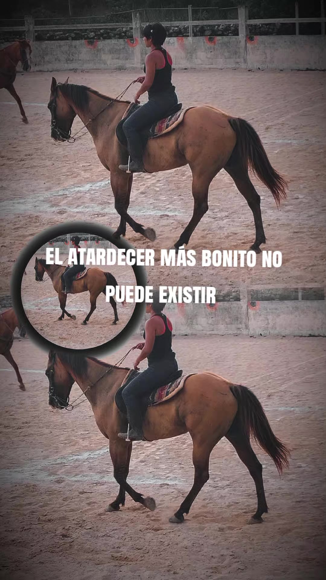 @luana fayne Castilla