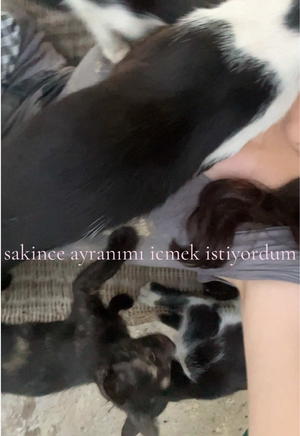 @꩜ï 🌱