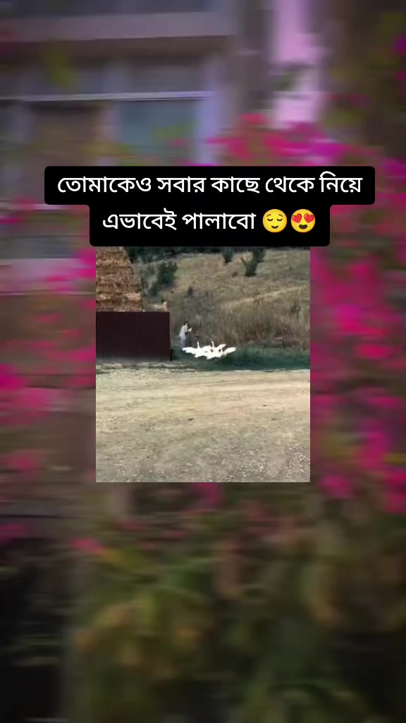 @😘সাকিবের _শাঁকচুন্নি 🧟♀️🧟