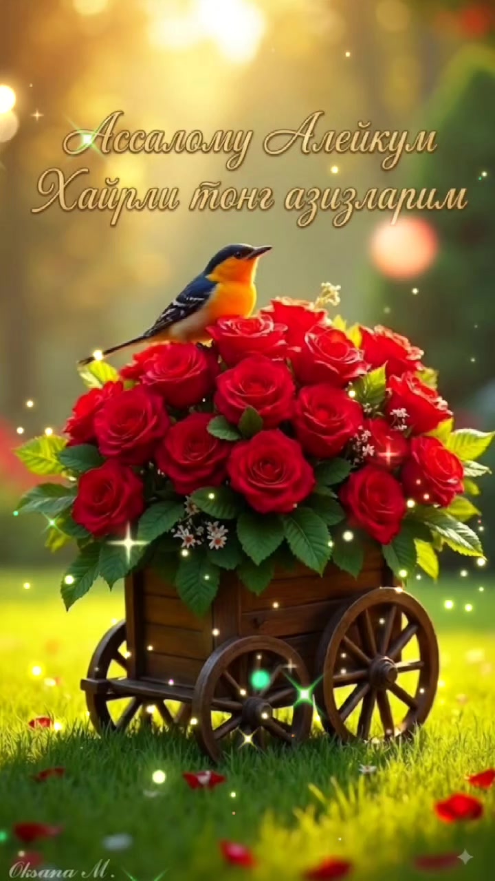 @Ностальгия✅️