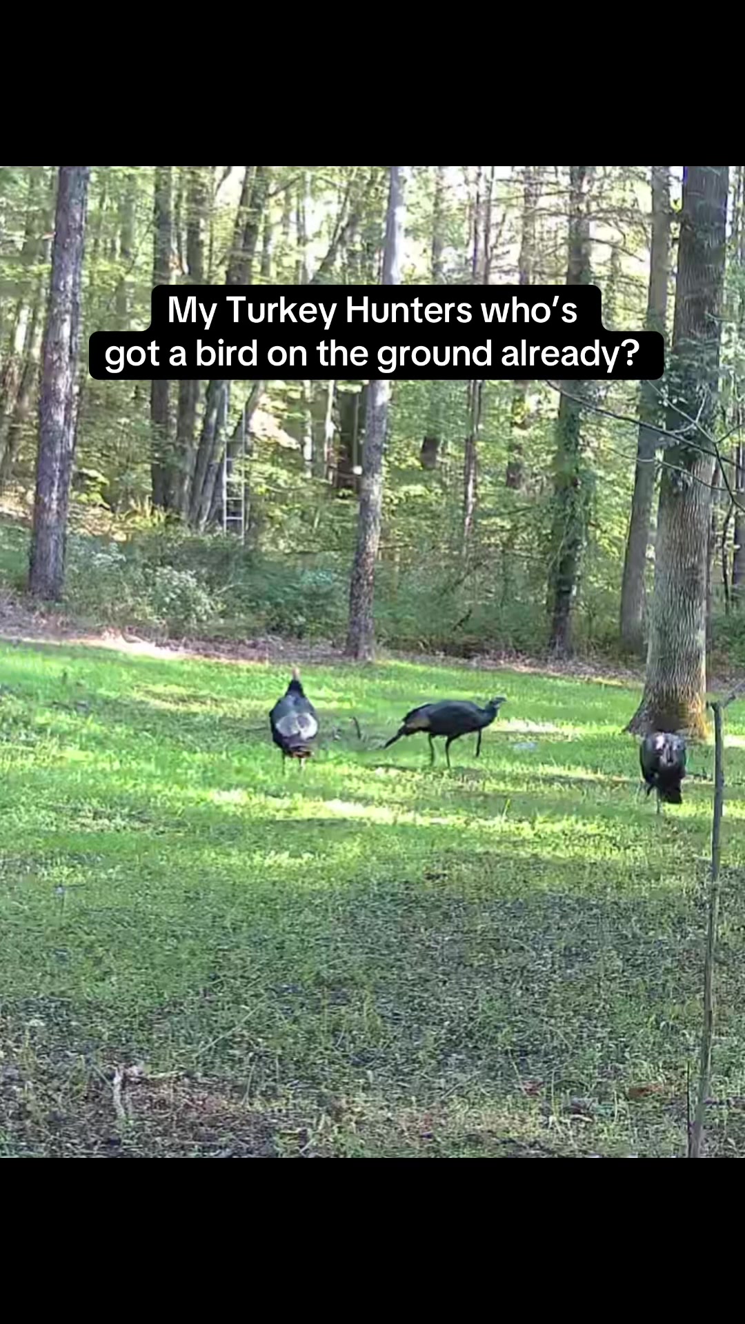 @Berko Outdoors