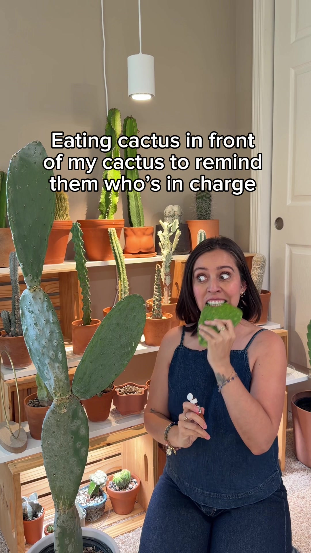 @PlantswithKrystal