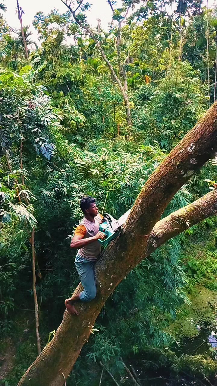 @যশোরের পোলা