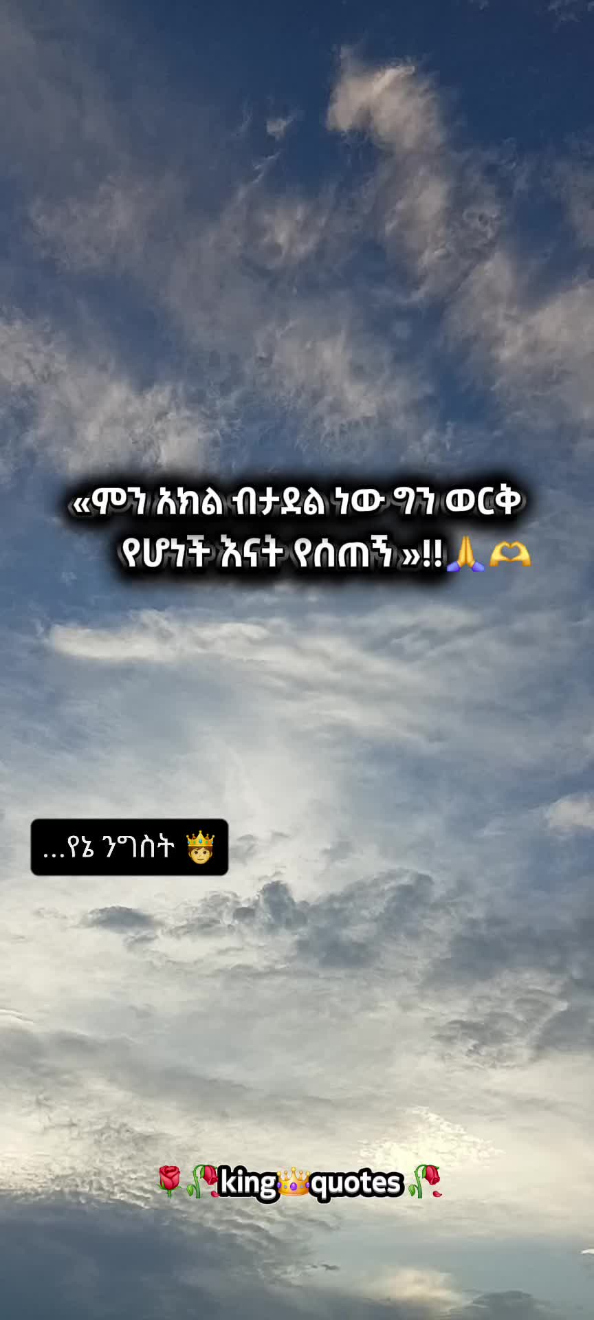 @🌹🌾king👑 quote's 🥀🥀