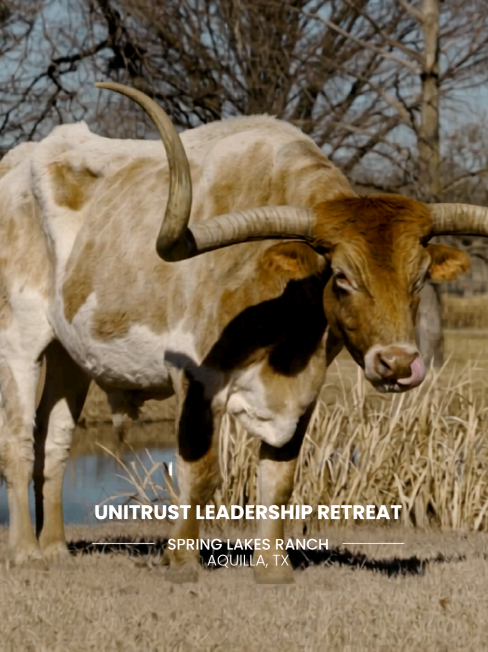 @UniTrust Financial Group
