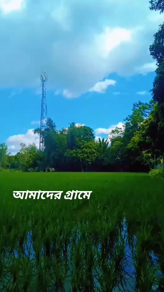 @রংপুরের মেয়ে ?