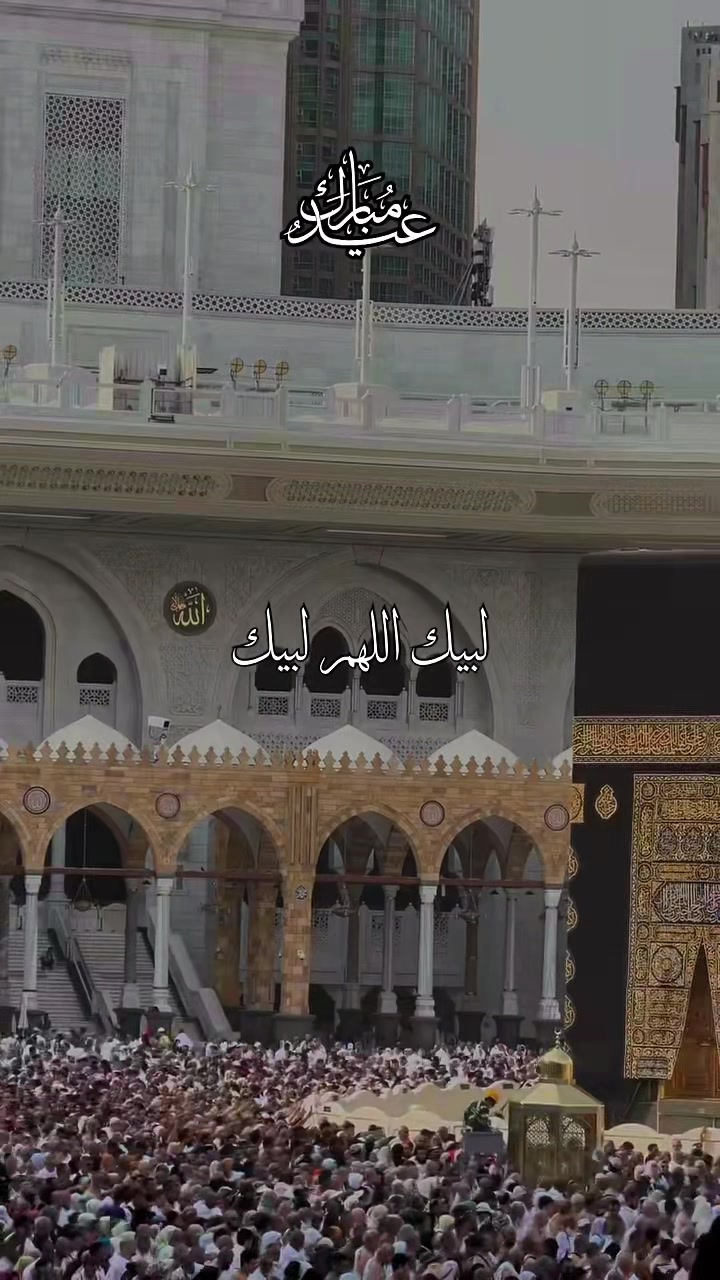 @✧ 𝑴𝑨𝑳l ✧