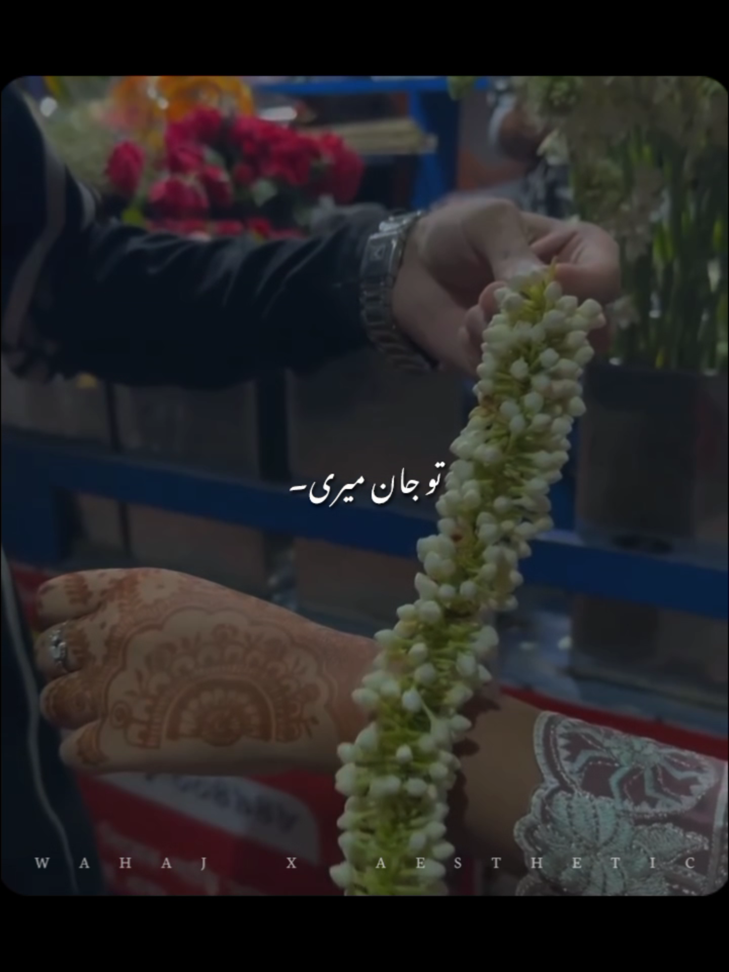 @𝙒 𝘼 𝙃 𝘼 𝙅 🕊️ &bull;