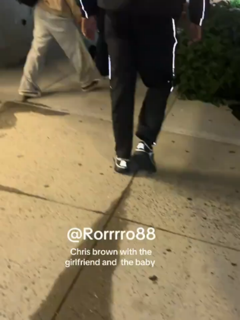 @chrisbreezybrown