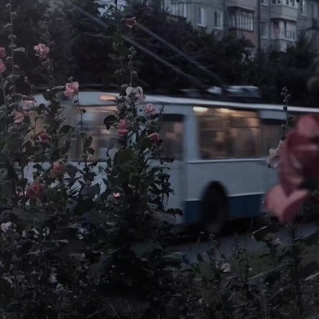 @+вайбик🎧