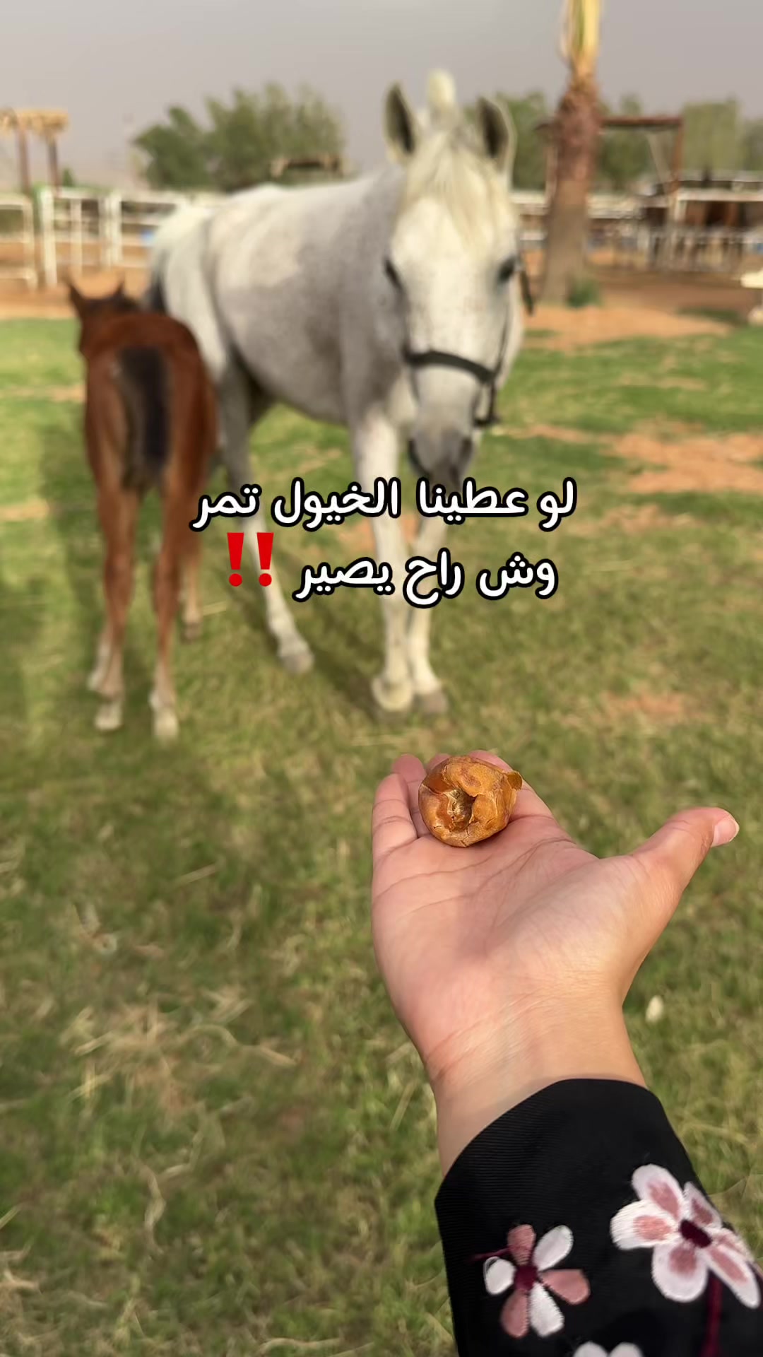 @مروة عبدالعزيز ✨📸