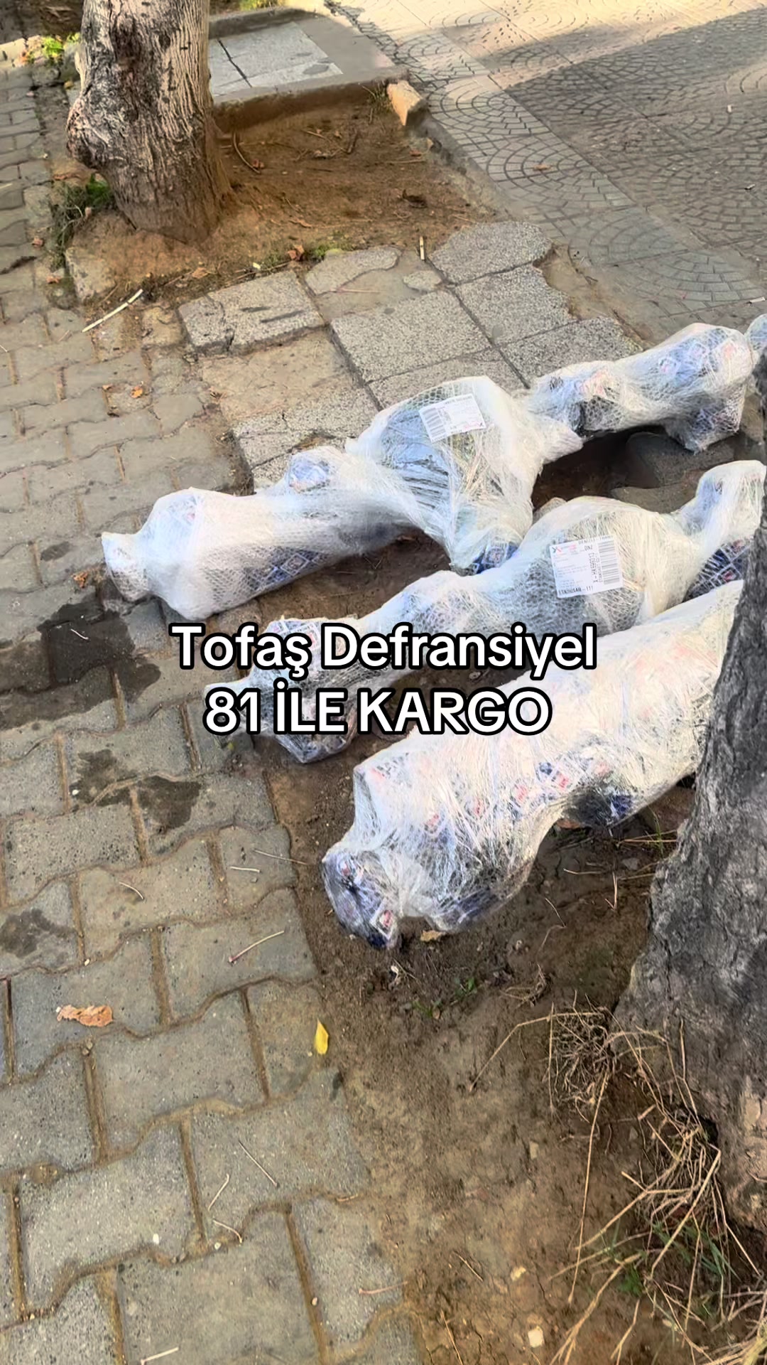 @secgindefransiyel