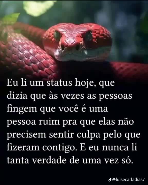 @@Ritacarvalho220