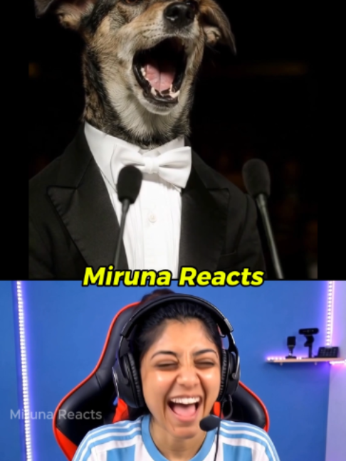 @Miruna reacts
