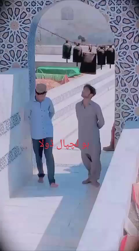 @qalab Abbas 736