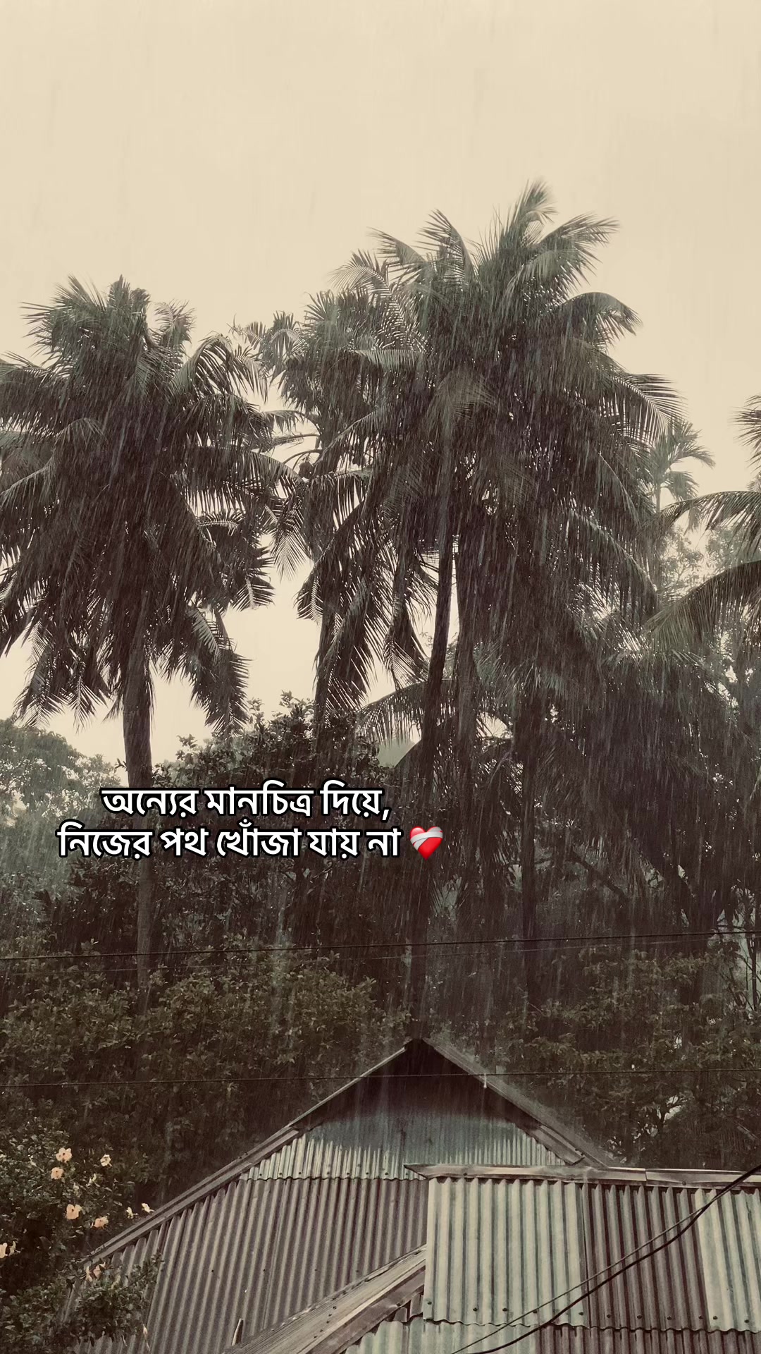 @_নিখোঁজ_