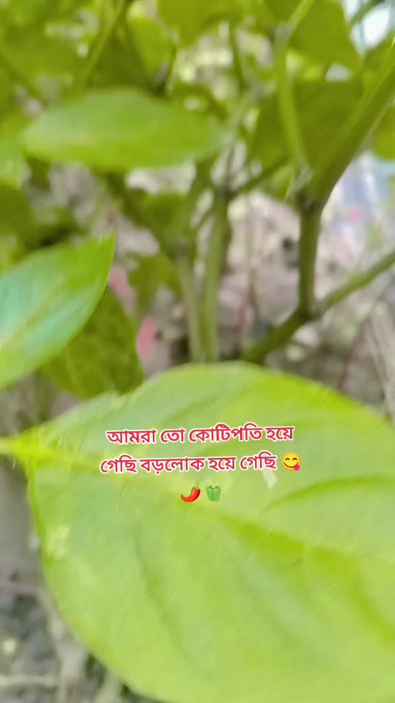 @👩❤️👨Opek ✈️🇱🇷